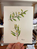 Aquarelle branches olivier