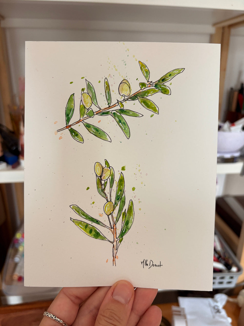 Aquarelle branches olivier