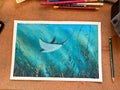 Manta - Illustration Originale