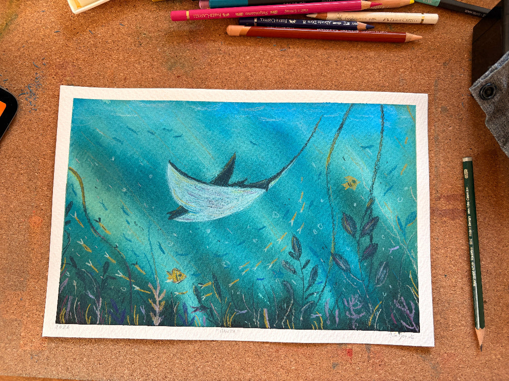 Manta - Illustration Originale