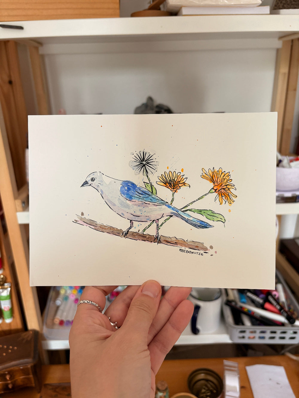 Oiseau blanc et bleu avec des pissenlits 